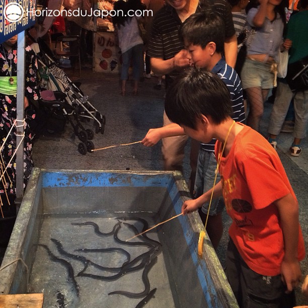 Pêche à l’anguille pour les gamins de passage