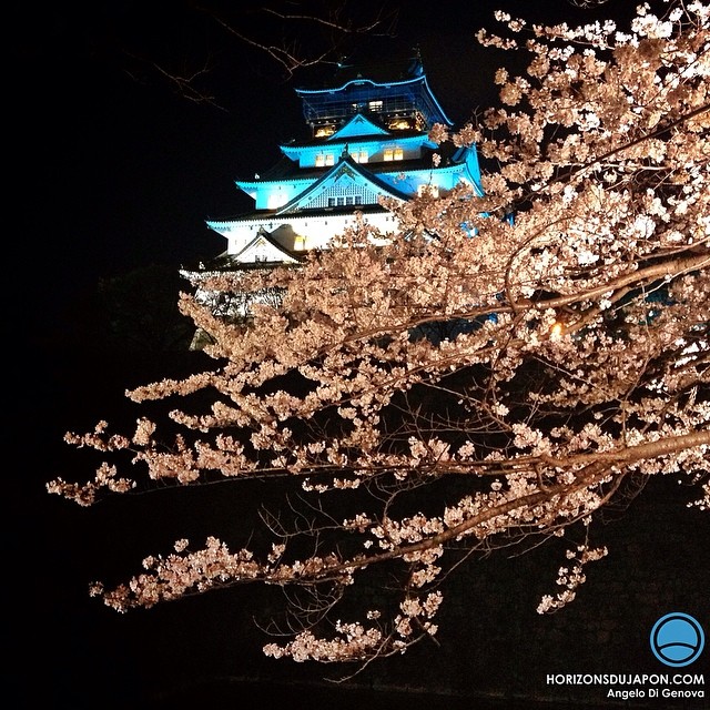 L’année 2014 aura été très chouette à Osaka pour les Sakura