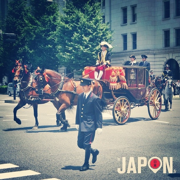 Le Tokyo Safari réserve souvent des surprises ; )