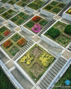 C’est parti pour une mission spéciale de 4 jours en voiture. Ici les terrasses du Yumebutai de Tadao Ando