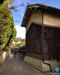 Balade dominicale à vélo dans mon quartier #osaka#iphone #japon