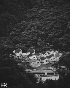 Entre Forêts et Montagnes, un Hameau