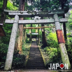 L’entrée du sanctuaire Dangyo ⛩😀 #SaninAdventure