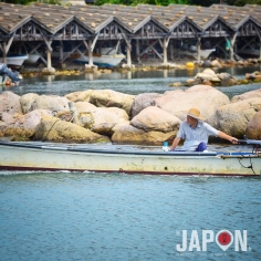 Retour au port ! On quitte la forêt pour admirer les anciens garages à bateau (Funagoya) du port de Tsuma 🚣🏼 #SaninAdventure #okinoshima #funagoya #tsuma