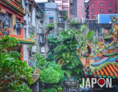 Taïpei : jungle urbaine, naturelle et spirituelle ! #TaiwanSafari #Taiwan #Taipei