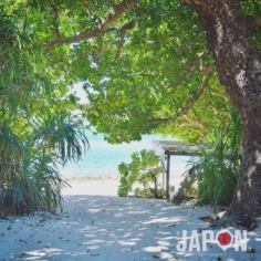 De la jungle à la plage… l’autre Japon à Ishigaki ! 👌🏻🏝🐠 #Ishigaki #Japon