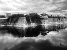 Long Time no See
#osakasafari #osakacastle #japonsafari