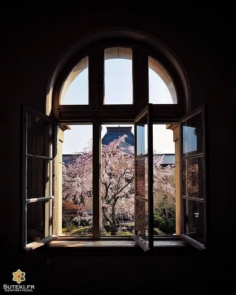 Fenêtre sur cour #japon #kyoto