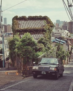 Tokyo Shapes