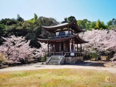 Comme des airs de pavillon #japon #kyoto