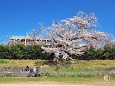 Pas mal comme endroit pour chiller, non ?! #japon #kyoto