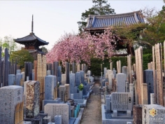 Un bel endroit pour trouver le repos #japon #kyoto